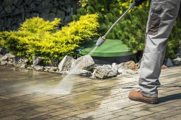 Best Fence Cleaning  in Pebble Creek, FL